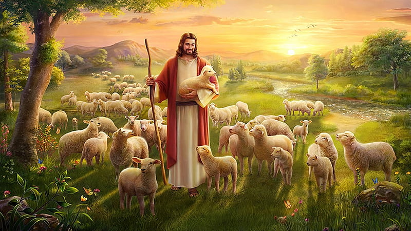 HD wallpaper jesus good shepherd sheep christ jesus shepherd